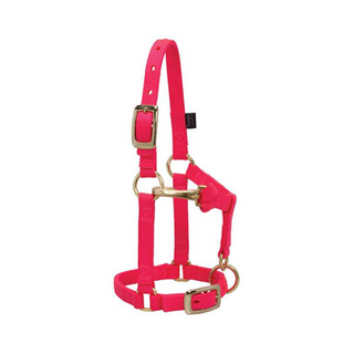 Miniature Horse Adjustable Chin & Throat Snap Halter