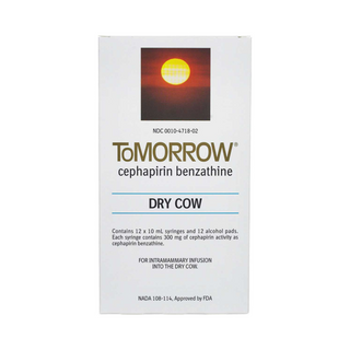 ToMorrow (Cephapirin Benzathine) Dry Cow Mastitis Treatment