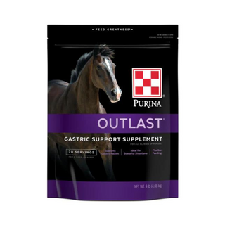 Purina Outlast Gastric Support Supplement