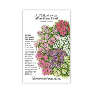 Alyssum Sweet Allure Pastel Blnd