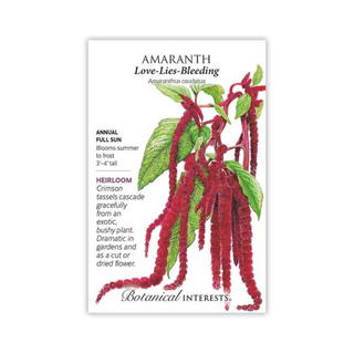 Amaranth Love Lies Bleeding - Pittsboro Feed