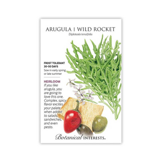 Arugula Wild Rocket - Pittsboro Feed
