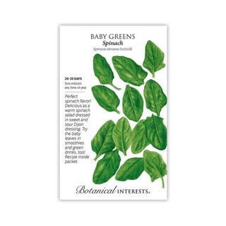 Baby Greens Spinach - Pittsboro Feed