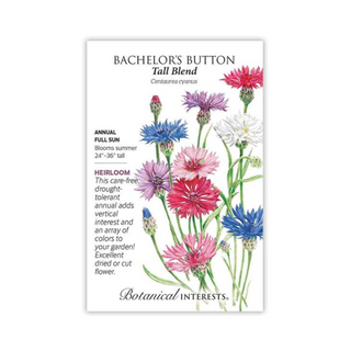 Bachelor Button Tall Blend