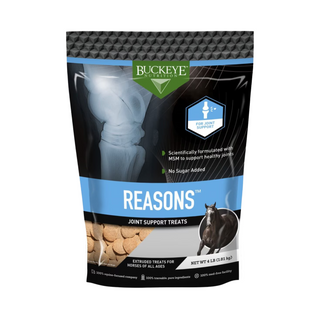 Buckeye Nutrition Reasons Horse Treats