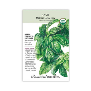 Basil Italian Genovese Organic