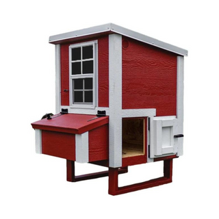 Small Chicken Coop