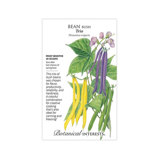 Bean Bush Trio Blend