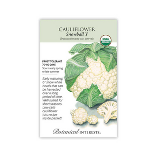 Cauliflower Snowball Y Organic