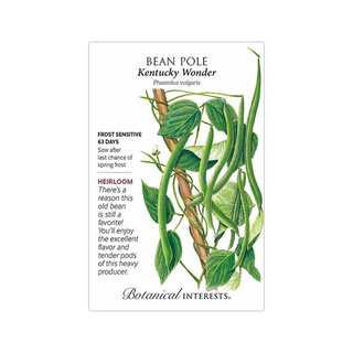 Bean Pole Kentucky Wonder