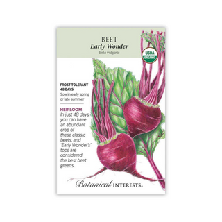 Beet (red) Early Wonder Organic
