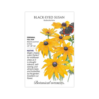 Black-Eyed Susan