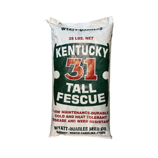 Kentucky 31 Fescue Grass or Pasture Seed - Pittsboro Feed