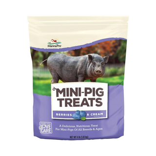 Manna Pro Mini Pig Berries & Cream Treats