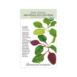 Baby Greens Swiss Chard Blend Organic
