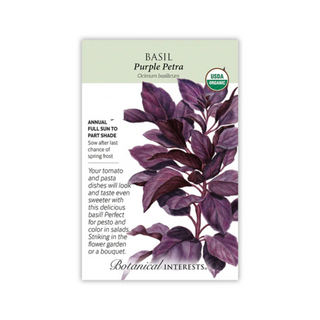 Basil Purple Petra Organic
