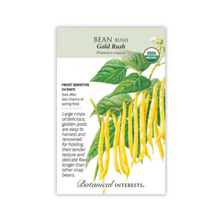 Bean Bush (yellow) Gold Rush Organic