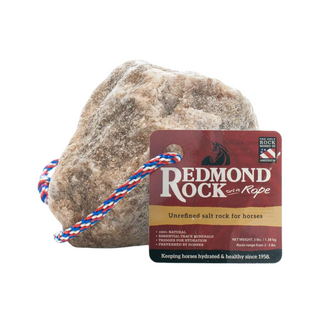 Redmond Rock on a Rope