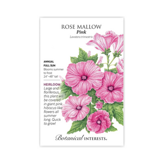 Rose Mallow Pink