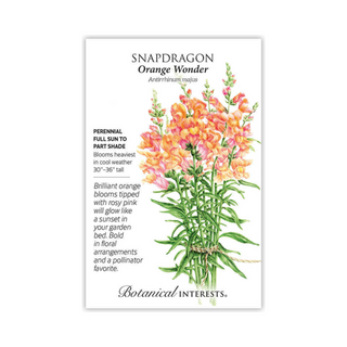 Snapdragon Orange Wonder
