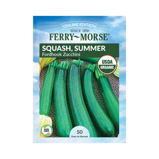 Squash Fordhook Zucchini Organic