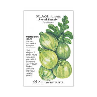 Squash Summer Round Zucchini