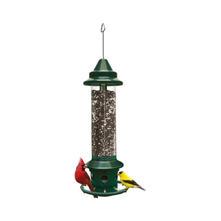 Squirrel Buster Plus Feeder