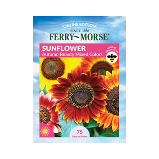 Sunflower - Autumn Beauty Mixed Color