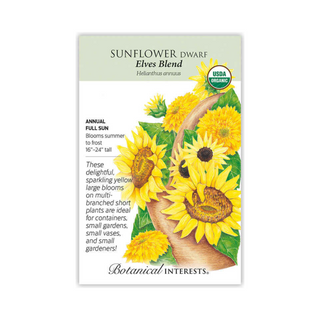 Sunflower Dwarf Elves Blend Organic