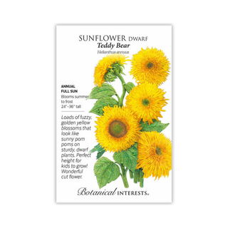 Sunflower Dwarf Teddy Bear