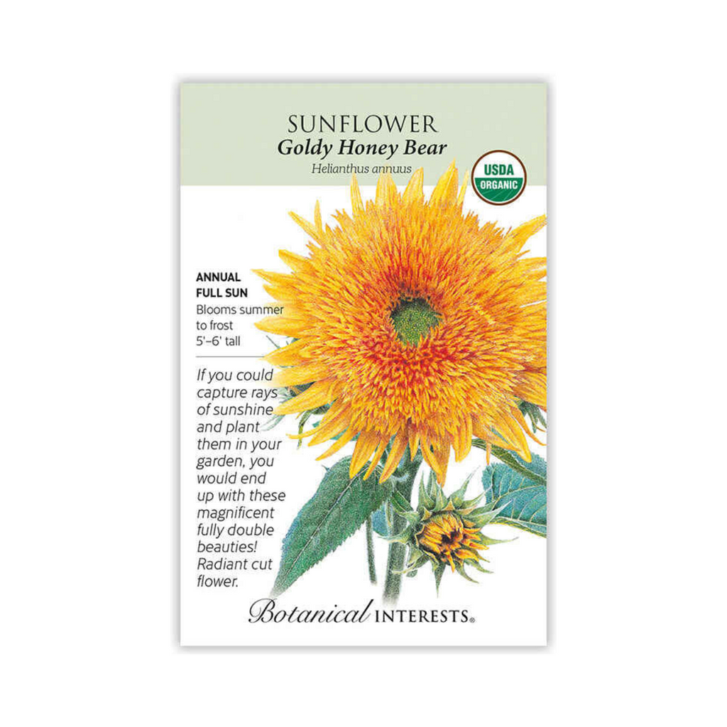 cheap sunflower seeds for planting Sunflower Goldy Honey Bear Organic – Pittsboro Feed
