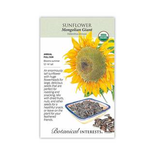 Sunflower Mongolian Giant