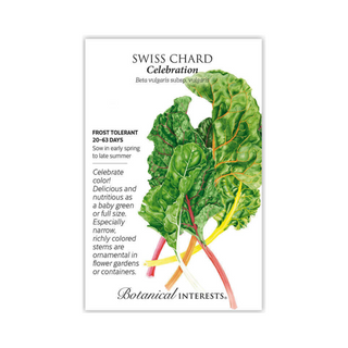 Swiss Chard Celebration