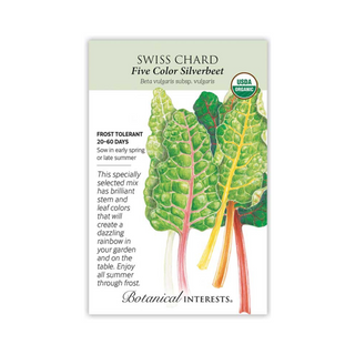 Swiss Chard Five Color Silverbeet