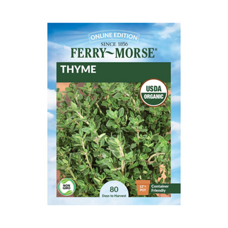 Thyme Organic