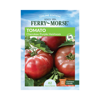 Tomato - Cherokee Purple Organic