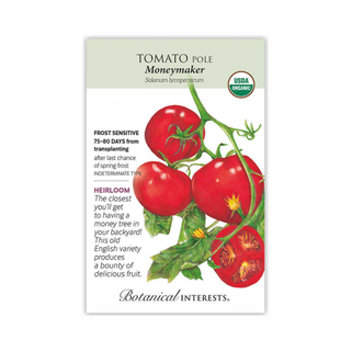 Tomato Pole Moneymaker