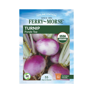 Turnip Purple Top Organic