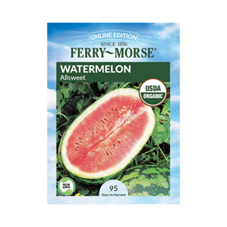 Watermelon Allsweet Organic