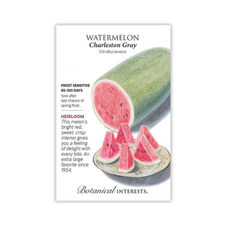 Watermelon Charleston Gray