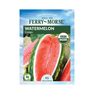 Watermelon Congo Organic