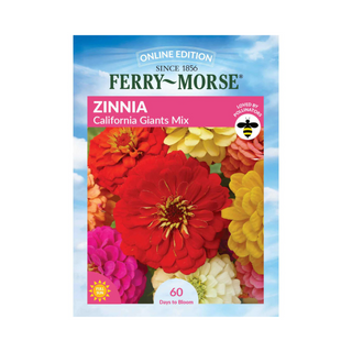 Zinnia - California Giants Mixed Color