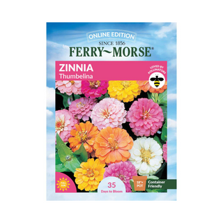Zinnia - Thumbelina Mixed Color