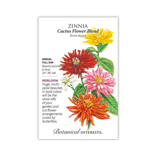 Zinnia Cactus Flower Blend