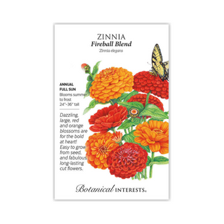 Zinnia Fireball Blend