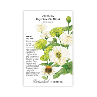 Zinnia Key Lime Pie Blend