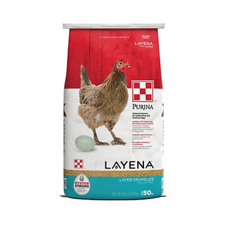Purina Layena Crumbles Chicken Feed
