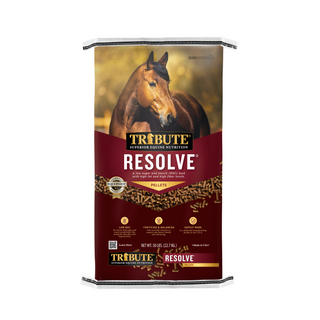 Tribute Resolve Horse Feed