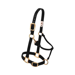 Adjustable Chin & Throat Snap Horse Halter 3/4"