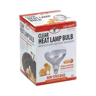 Brooder Heat Clear Lamp Bulb 250 Watt - Pittsboro Feed